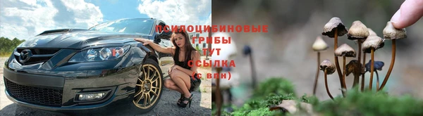 дмт Россошь
