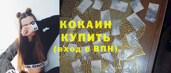 стафф Ростов
