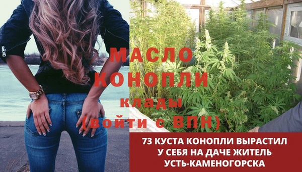 мет Алексин