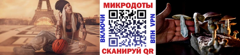 Псилоцибиновые грибы Cubensis  Гаврилов Посад 