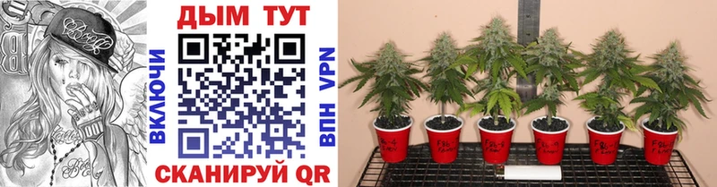 МАРИХУАНА OG Kush  hydra маркетплейс  Гаврилов Посад 